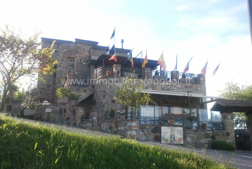 004__t__chiaro_di_luna21_wmk_0