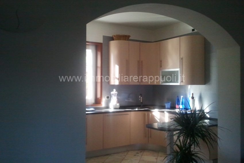 008__t__chiaro_di_luna29_wmk_0