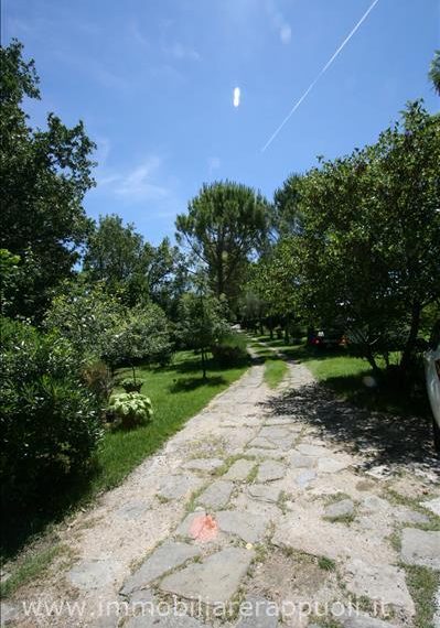 18l3537img50